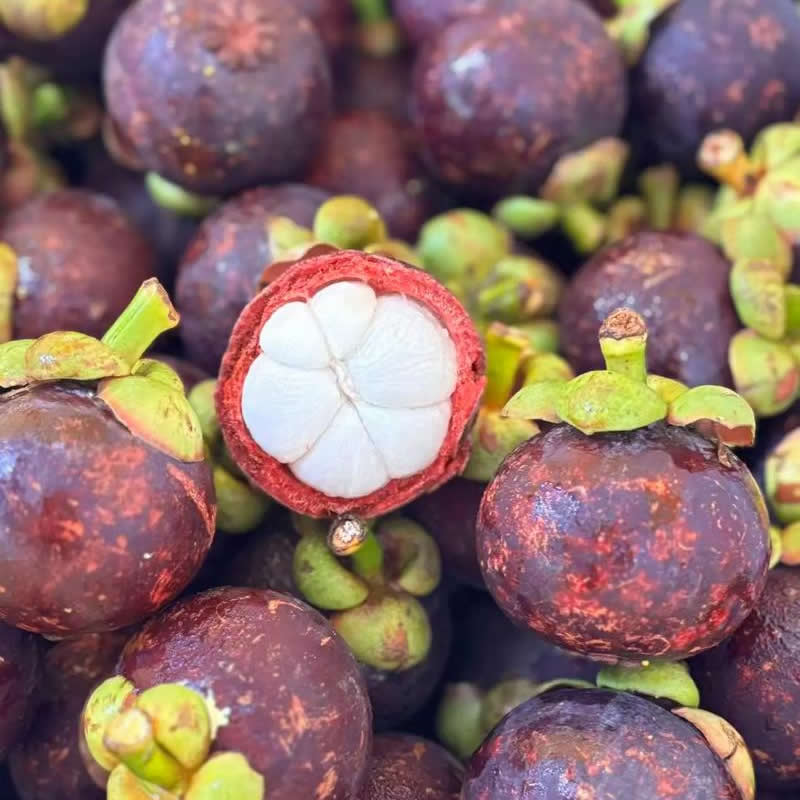 Mangosteen Peel Powder