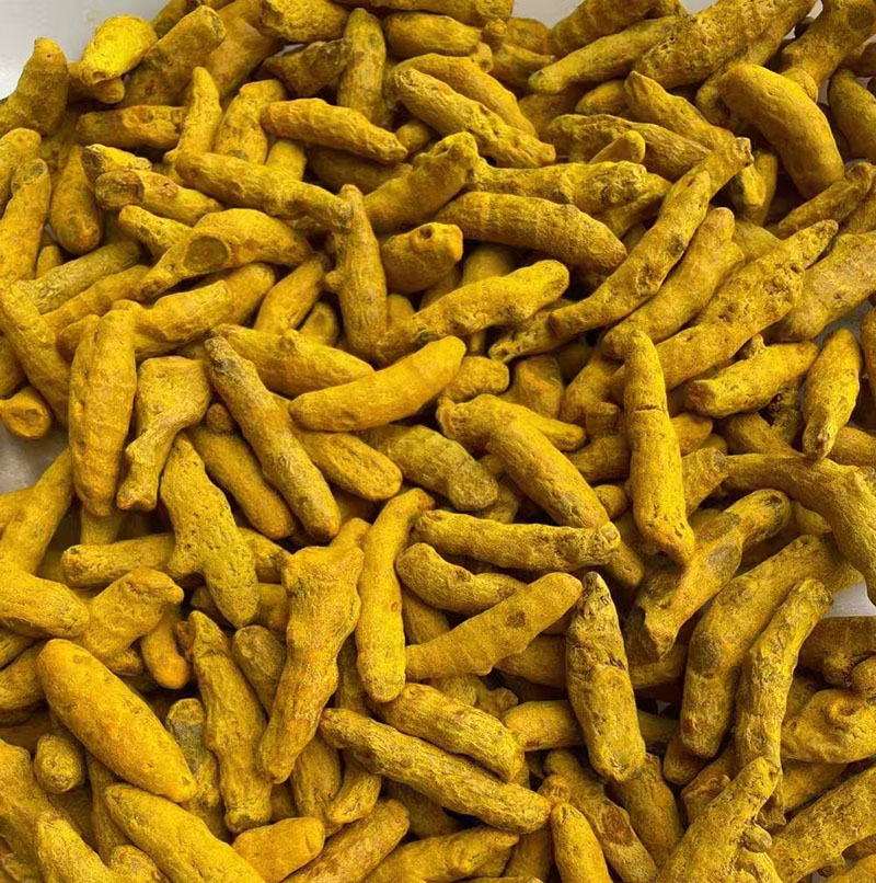Curcumin Standardized Turmeric Root Extract
