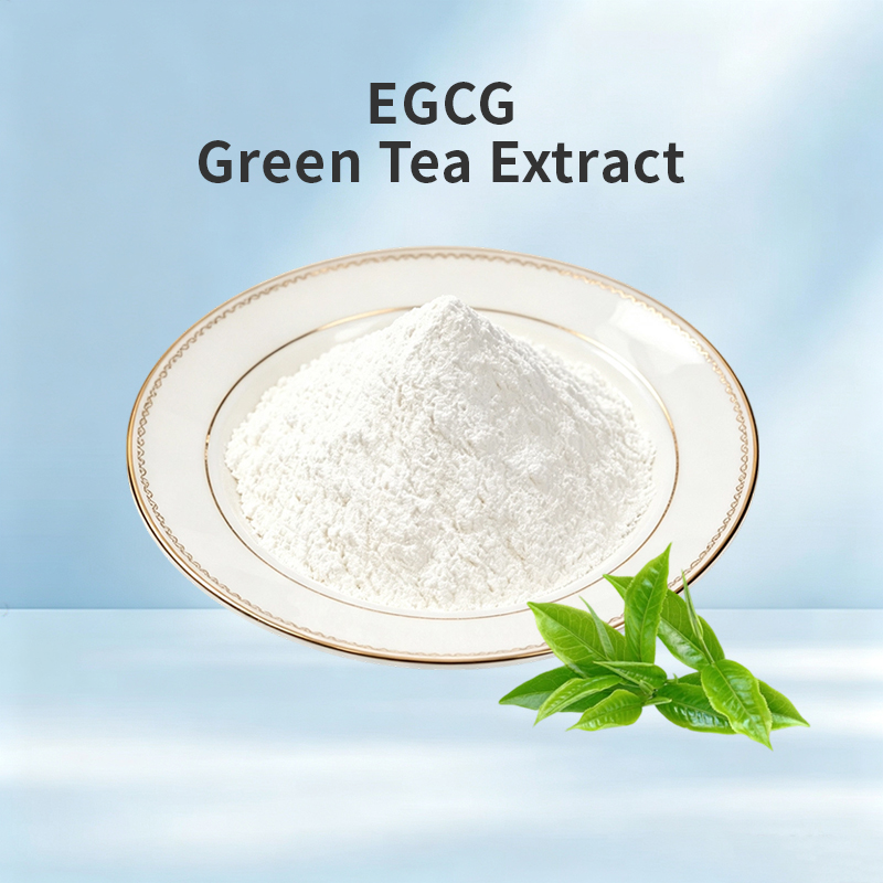 EGCG Extract