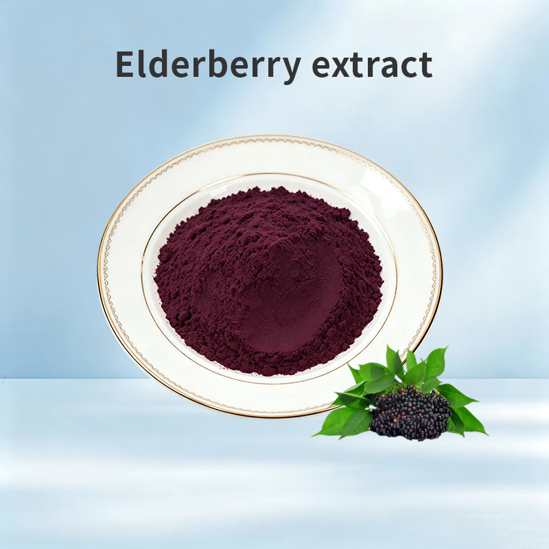 Elderberry Extract