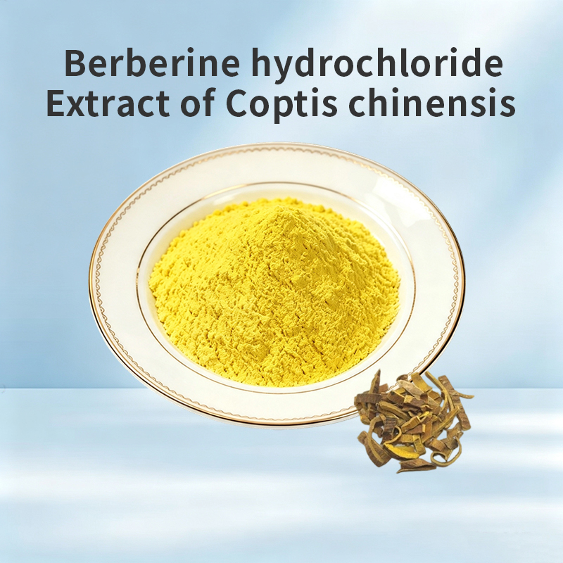 Berberine Hydrochloride