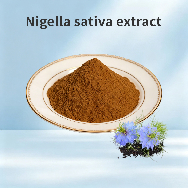 Nigella Sativa Seed Extract Powder