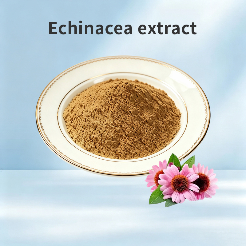 Echinacea Extract