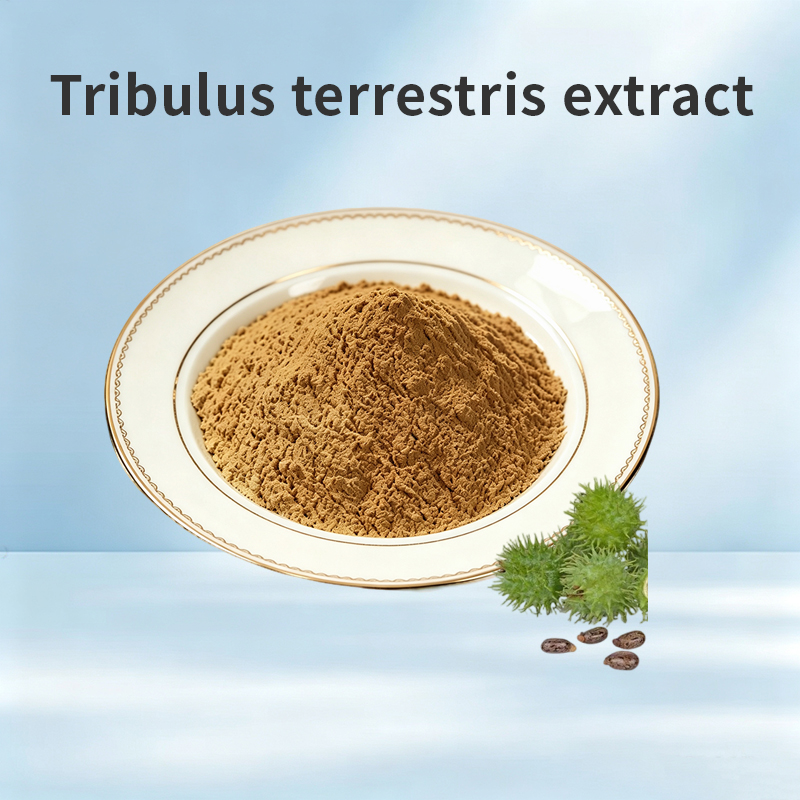 Tribulus Terrestris Extract